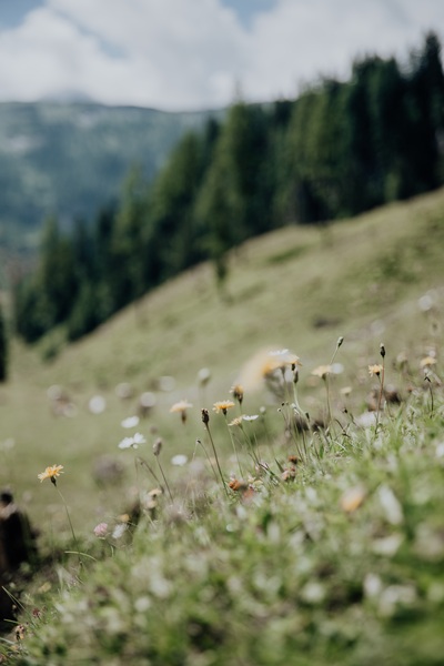 Aktivurlaub in den Bergen im Salzburger Land