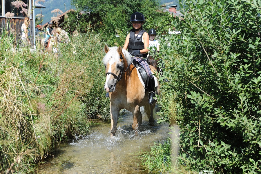 Lust auf einen Ausritt ins Gelände am Gut Weissenhof?