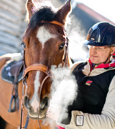 Privatstunde mit eigenem Pferd, Reiterferien in Österreich, Hotel mit Reiten in Österreich im Gut Weissenhof