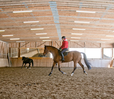 Reitferien für Erwachsene in Österreich im Gut Weissenhof