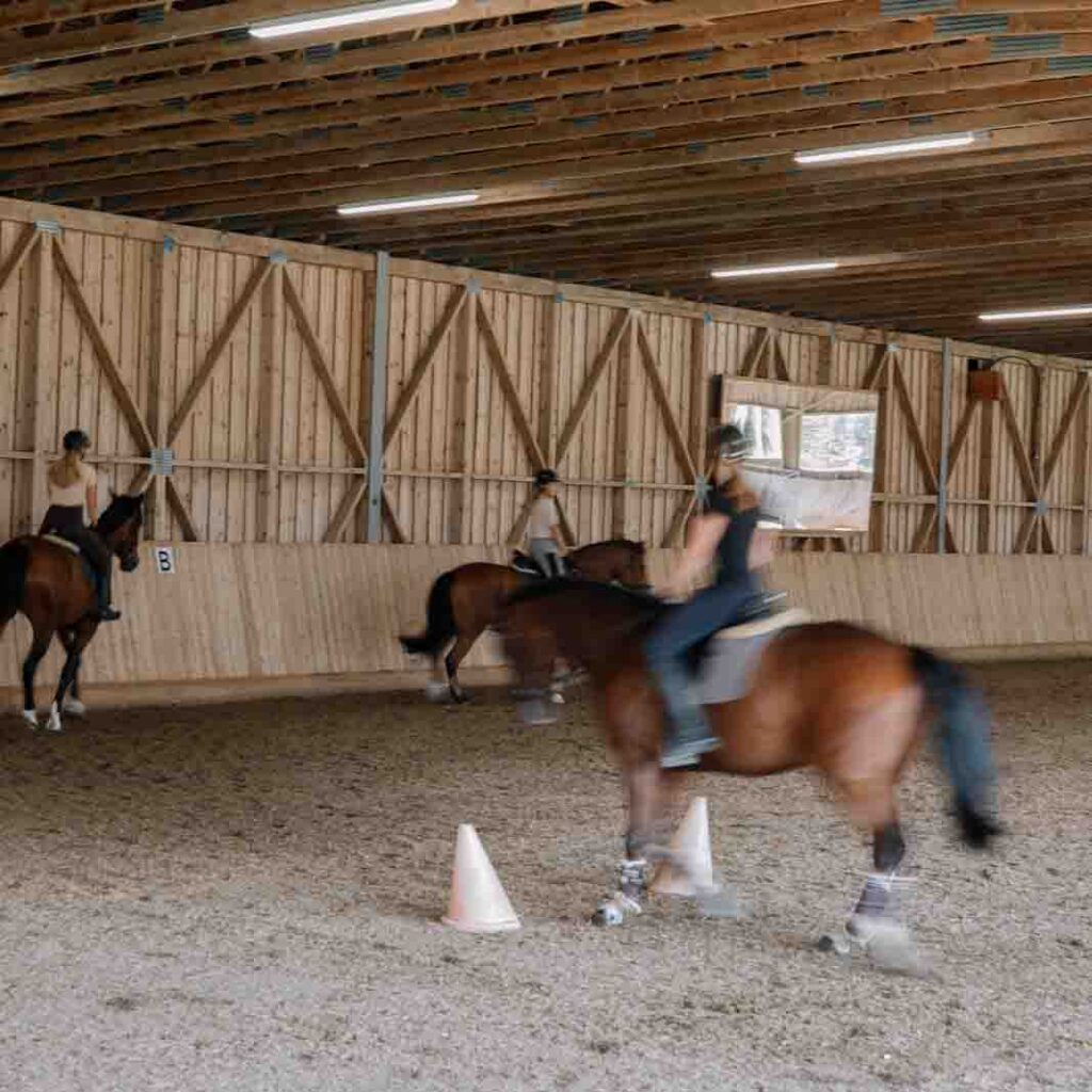 Reitunterricht für Anfänger und Fortgeschrittene
