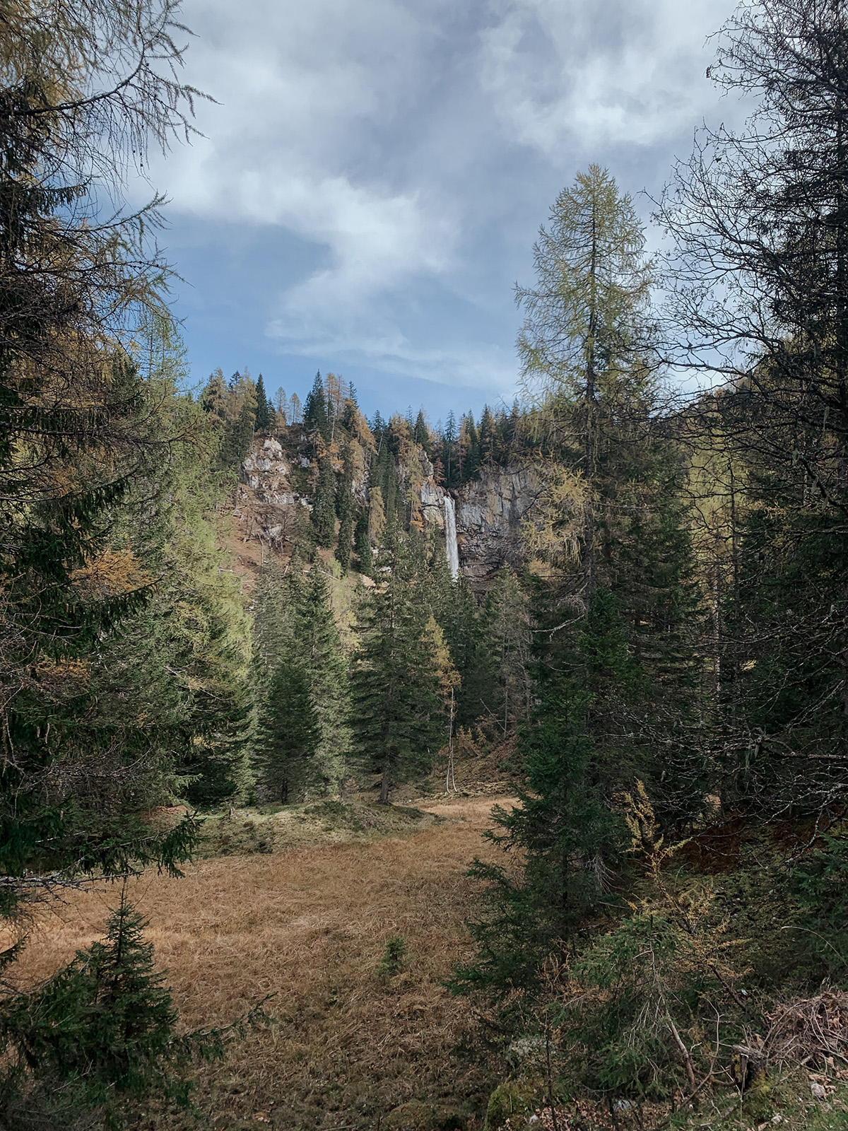 Wunderschöner Rundwanderweg Alles Alm auf der Gnadenalm vorbei bei der Weissenhofalm, auch familienfreundlich